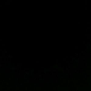 Meet your Posher, Franklin